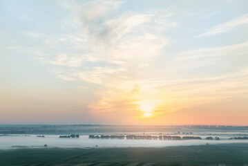 Obraz premium Morning foggy landscape in the field with trees at warm summer sunrise.