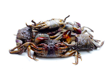 Preserved crabs for ingredient thai food