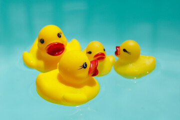 Cute yellow rubber ducks floating on blue water