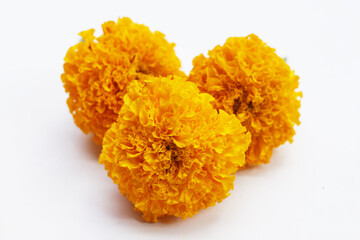 Beautiful golden yellow marigold flowers