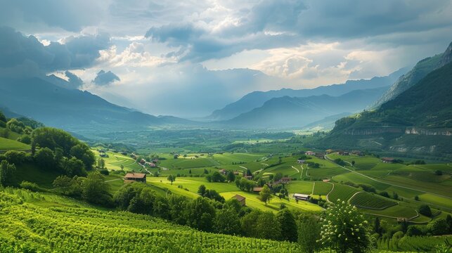 Valley with lush farms under cloudy sky plenty of room for text