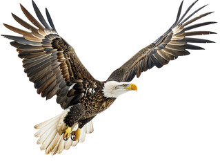 Naklejka premium A majestic bald eagle in flight with its wings spread wide. Its sharp gaze and powerful presence are captured in this stunning image.