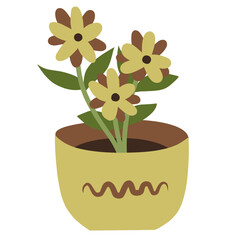 Potted plant
