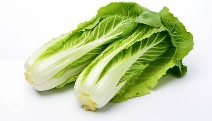 fresh green cabbage