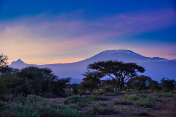 Tranquil view of Mount Kilimanjaro at dawn with rose and blue tinted skies at early morning  in...