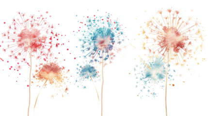 Colorful fireworks on transparent background
