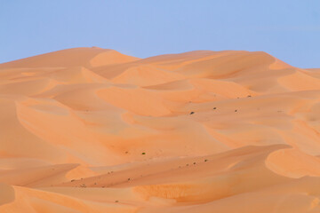 United Arab Emirates - Rub al-Khali - Sand dunes