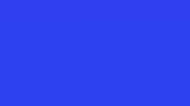 grapic design element animation for web