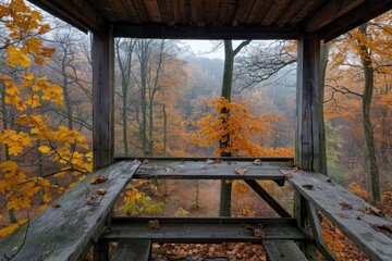 Obraz premium A wooden bench is in the middle of a forest with leaves on the ground. The bench is empty and the leaves are scattered around it