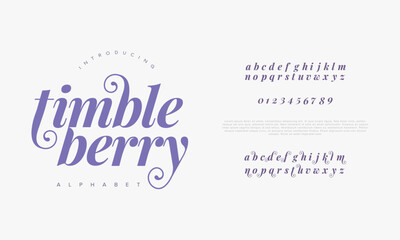 Timbleberry premium luxury elegant alphabet letters and numbers. Vintage wedding typography classic serif font decorative vintage retro. creative vector illustration