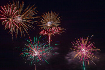 Fireworks in the night sky