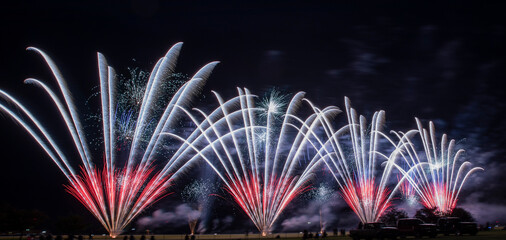 Fireworks in the night sky