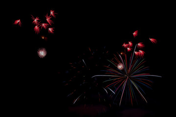 Fireworks in the night sky