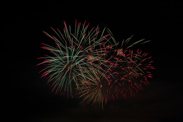 Fireworks in the night sky