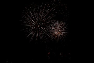 Fireworks in the night sky