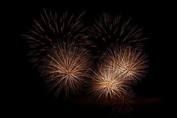Fireworks in the night sky