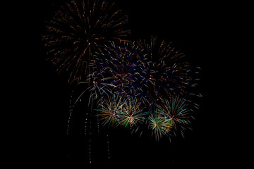 Fireworks in the night sky
