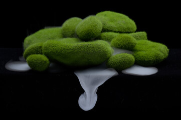 Green mossy mounds with strange white mist swirling around