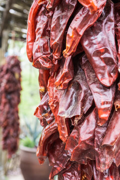 Dried red chiles
