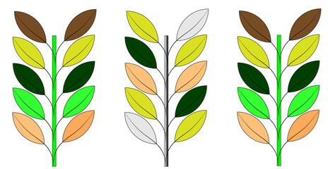 tri tree capture