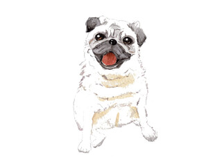 犬，パグ，手描き水彩画