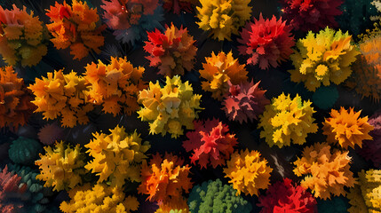 Overhead shot of a deciduous forest in autumn, displaying a vibrant mosaic of red, orange, and yellow leaves