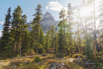 Beautiful views of the Canadian Rockies at sunrise and sunset