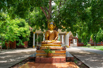 Thai temple also has buddha statue in garden.