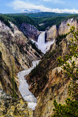 Grand Canyon of the Yellowstone