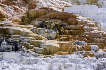 Mineral Deposits in Mammoth Hot Springs