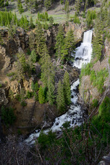 Undine Falls in Yellowstone National Park