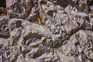 Rugged Rock Formation with Intricate Textures Eye-Level Close-Up