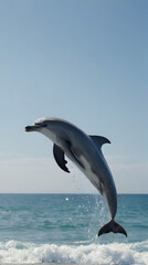 dolphin jumping out of the water