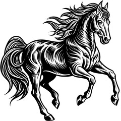 black and white horse