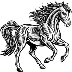 horse silhouette isolated on white