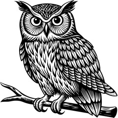owl on a branch
