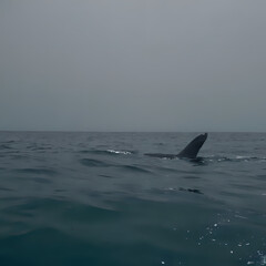 Naklejka premium a whale tail sticking out of the water