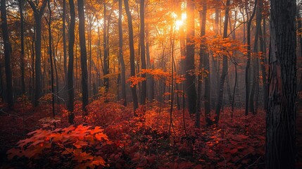 Fototapeta premium Autumnal Vertical Landscape: American Ivy Trees in Rich Reddish Hues