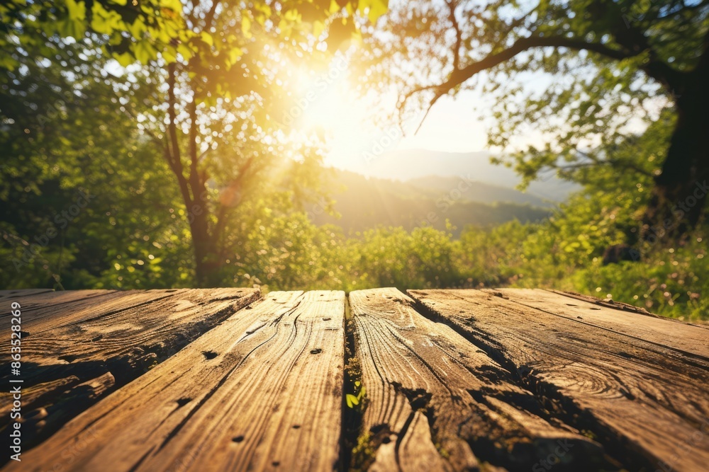 Poster the picture of the wood table in the middle of the forest that surrounded with an uncountable amount