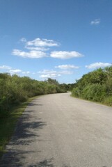 Una perfecta combinacion del agua con un verdor impresionante eso son los Everglades.