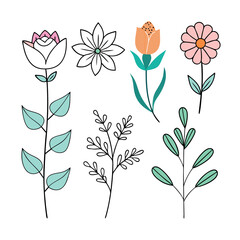 Doodling Nature Simple Floral Line Art Ornaments
Floral flowers line art flat design outline, ornaments set