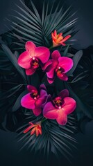 Obraz premium A close-up of pink orchids and green palm leaves against a dark background, wallpaper
