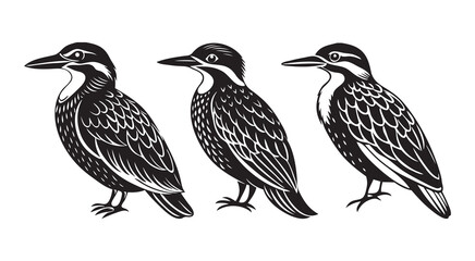 Obraz premium Vintage Kingfisher Bird Silhouette