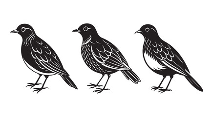 Fototapeta premium Vintage Robin Bird Silhouette