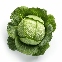 Obraz premium cabbage on white background