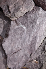 Close-Up of Rocky Cliff Texture with Layered Natural Stone Surface