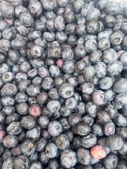 close up of blueberries