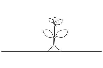 Plant growth process single line art, continuous one line drawing of  Isolated outline vector art