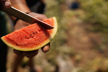 Close up of farmer's hands cutting fresh ripe slice of watermelon outside