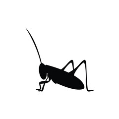 Grasshopper icon or logo design isolated sign symbol vector illustration. A collection of high quality black line style vector icons